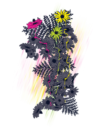 Daisies