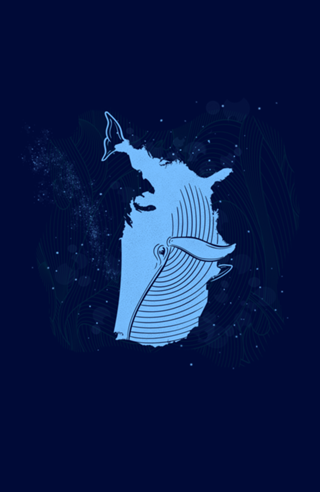 United Whales of America
