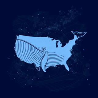 United Whales of America