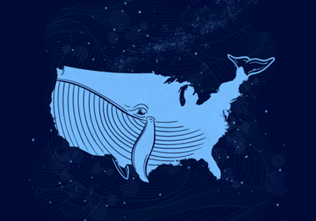 United Whales of America