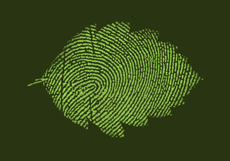 Leafprint