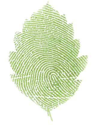 Leafprint