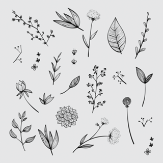 Herbal Basico