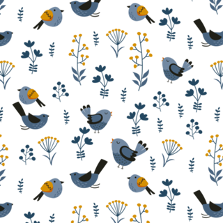 Bird Basic