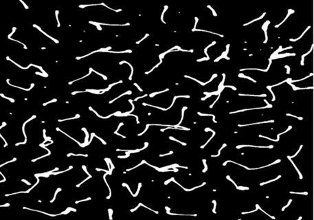 Abstrato Orgânico 2 Negativo