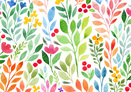 Flora