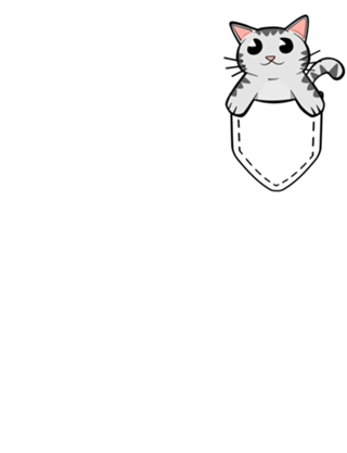 Gatinho de Bolso