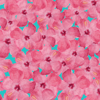 Floral Hibiscus Pink