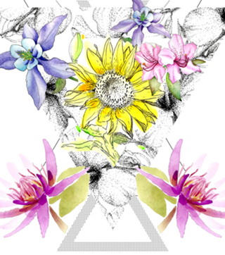 Vênus em flor