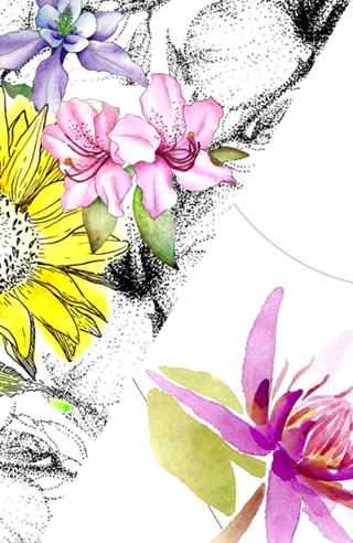 Vênus em flor