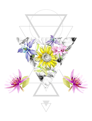 Vênus em flor