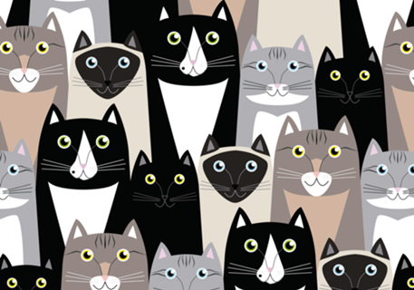 Cats #1