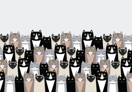 Cats #2