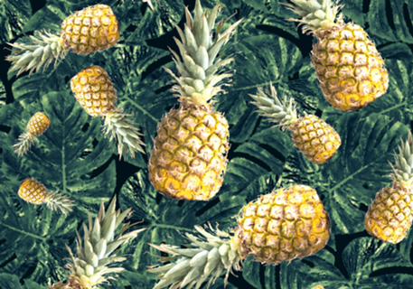 Pattern Ananas Tropical