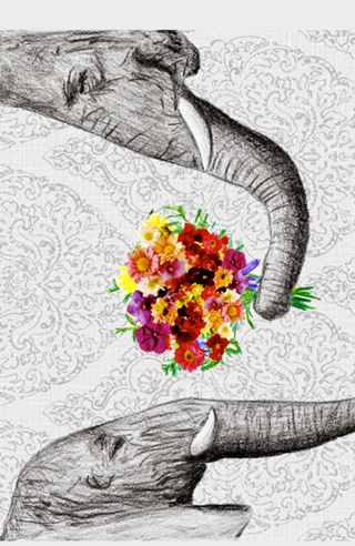Elephant Love