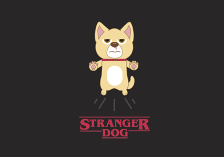 Stranger Dog