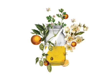 Witbier recipe