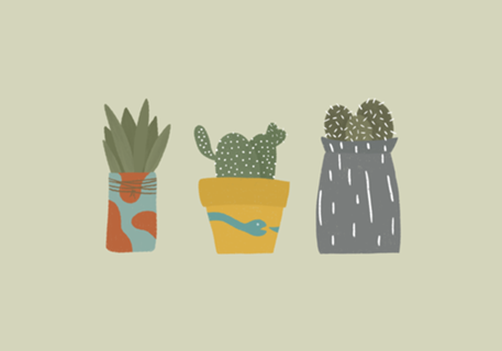 Plantinhas
