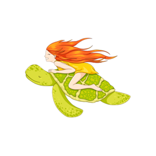 The Flying Turtle