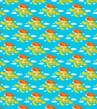 The Flying Turtle