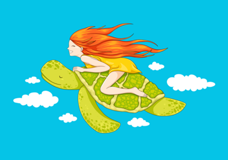 The Flying Turtle