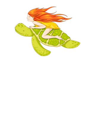 The Flying Turtle