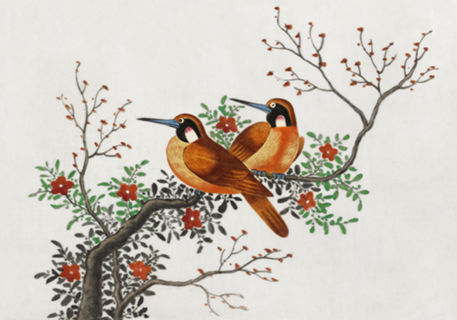 Birds on a flowering tree branch