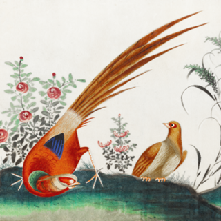 Birds among flowers