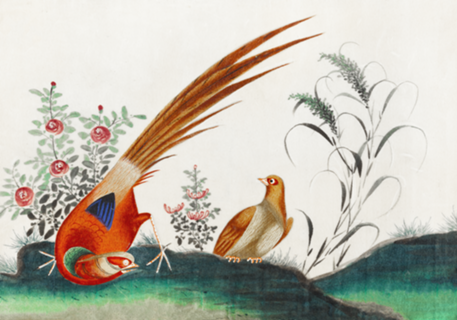 Birds among flowers
