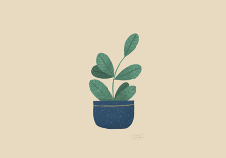 Planta