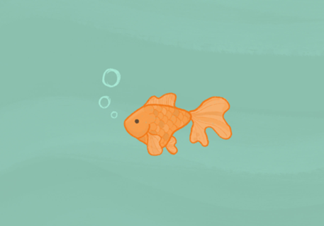 Goldfish