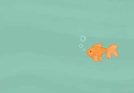 Goldfish