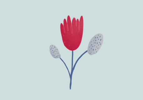 Flor Rosa