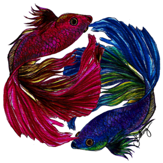 Beta Fish