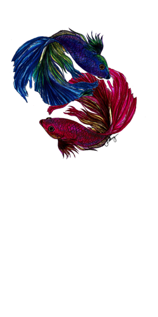 Beta Fish