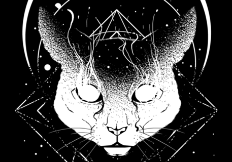 Gato Cósmico