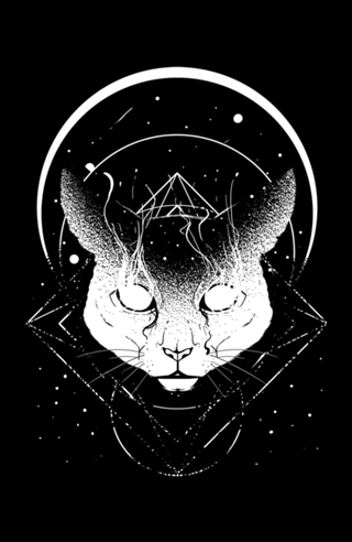 Gato Cósmico