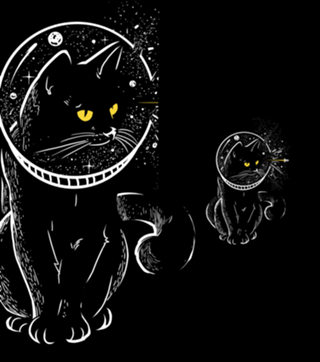 Star Cat
