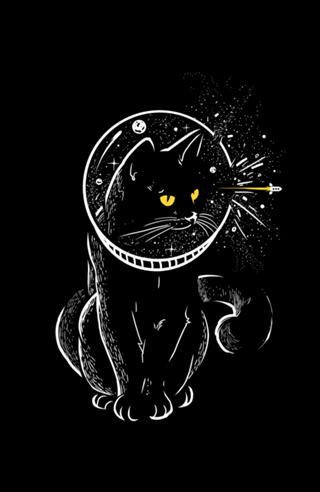 Star Cat