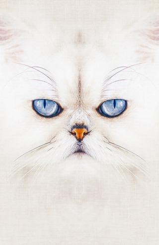 Gato#2