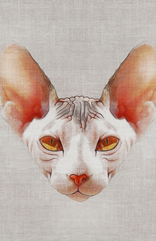 Gato#4