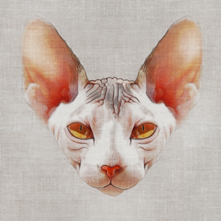 Gato#4