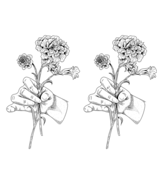 Coleta