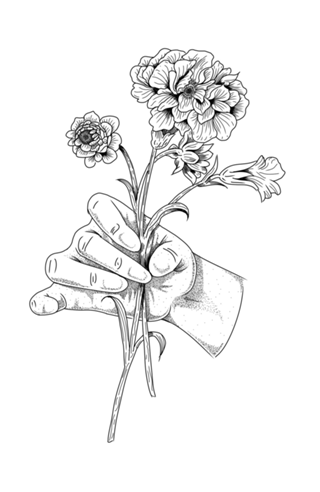 Coleta