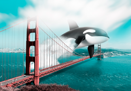 Golden Gate