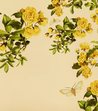 Flora Lepdopteria