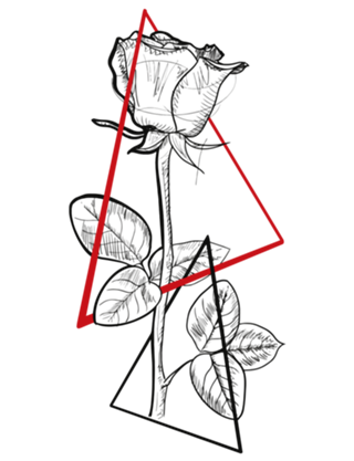 Rosa e triângulos