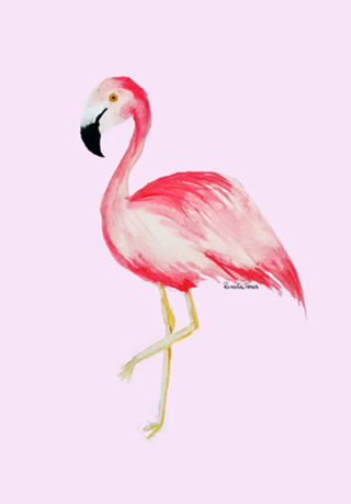 Flamingo