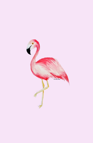 Flamingo