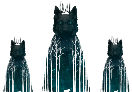 Galaxy Wolf